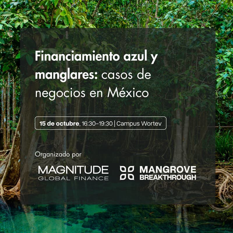 Cover Image for Financiamiento azul y manglares: casos de negocios en Mexico