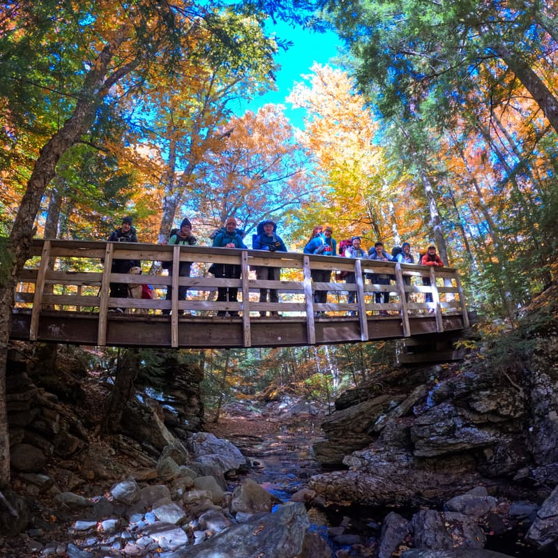 Cover Image for Queer Fall Foliage Hike - New Mexico