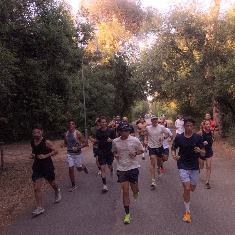 Cover Image for Steppers Community Run