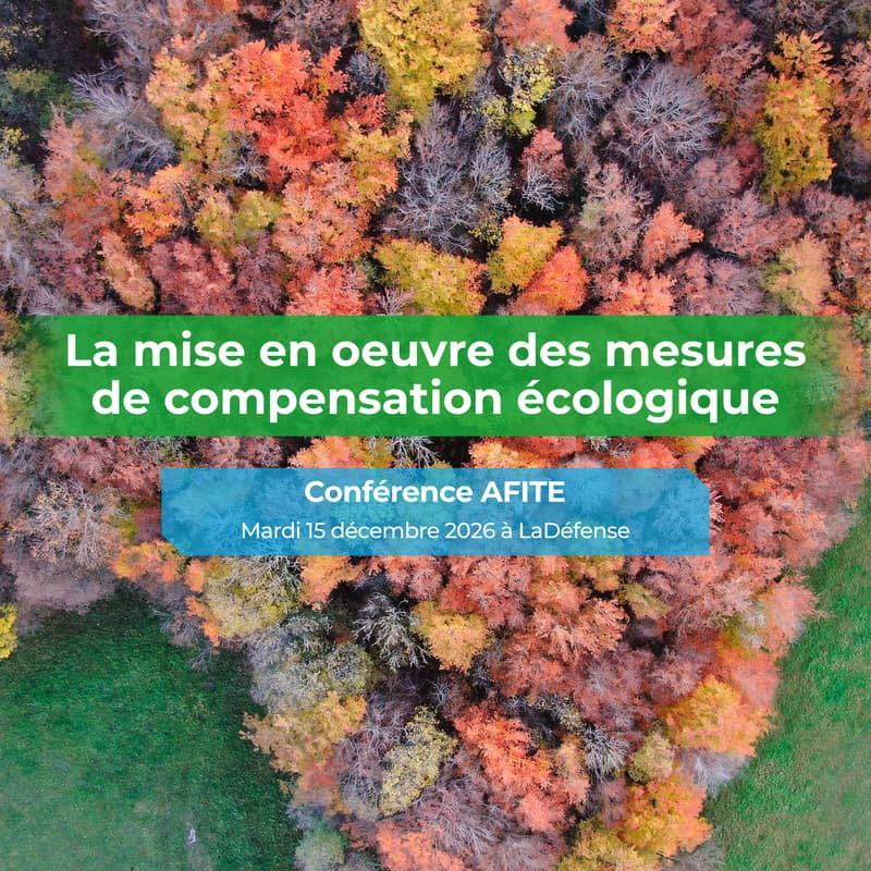 Cover Image for Les mesures de compensation écologique : concept et mise en oeuvre