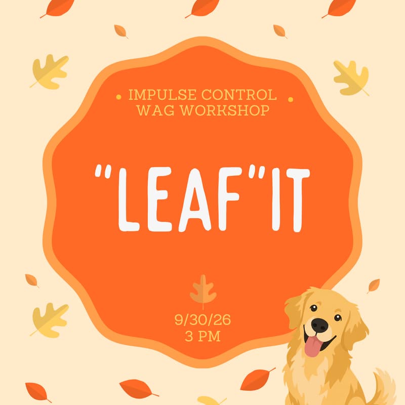 Cover Image for Matti's Wag Workshop: Impulse Control