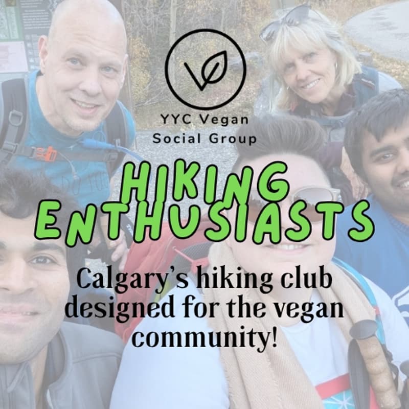 Cover Image for Hiking Enthusiasts Club: Moose Mountain to Fire Lookout