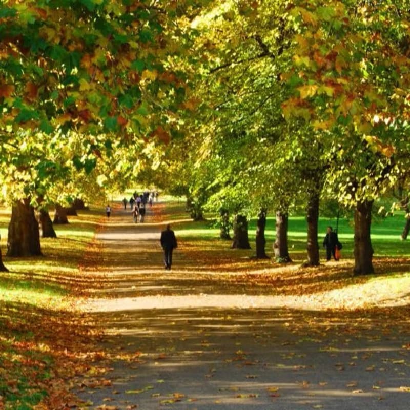 Cover Image for 🌳Offline Women Explore the Royal Parks: Green Park