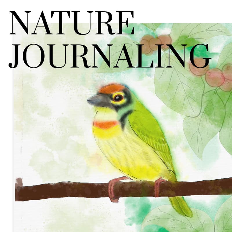 Cover Image for Perspectives - Nature Journalling #1