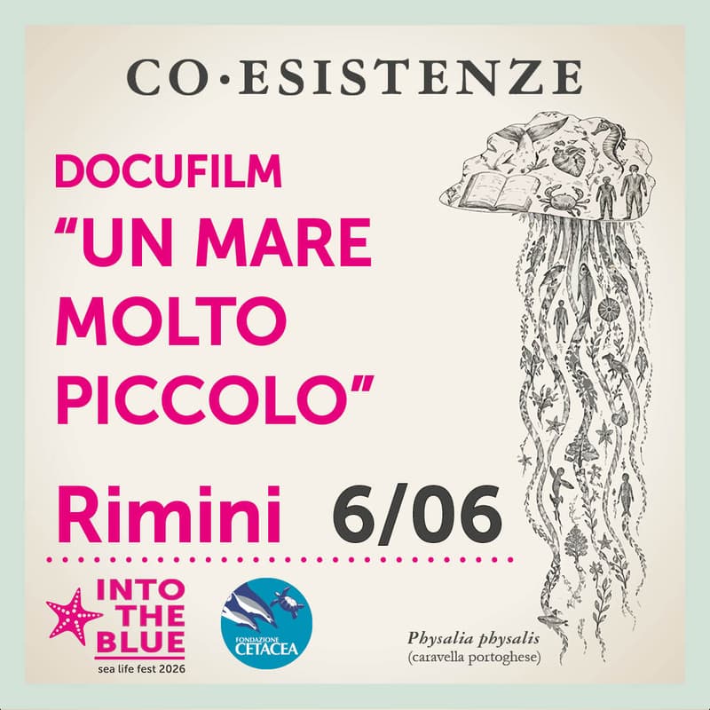 Cover Image for Docu-film “Un mare molto piccolo”