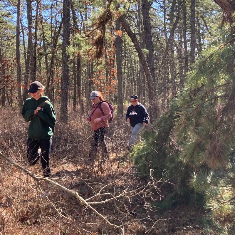 Cover Image for Thursday Night Hike 7/9 - Leeds, Western Massachusetts