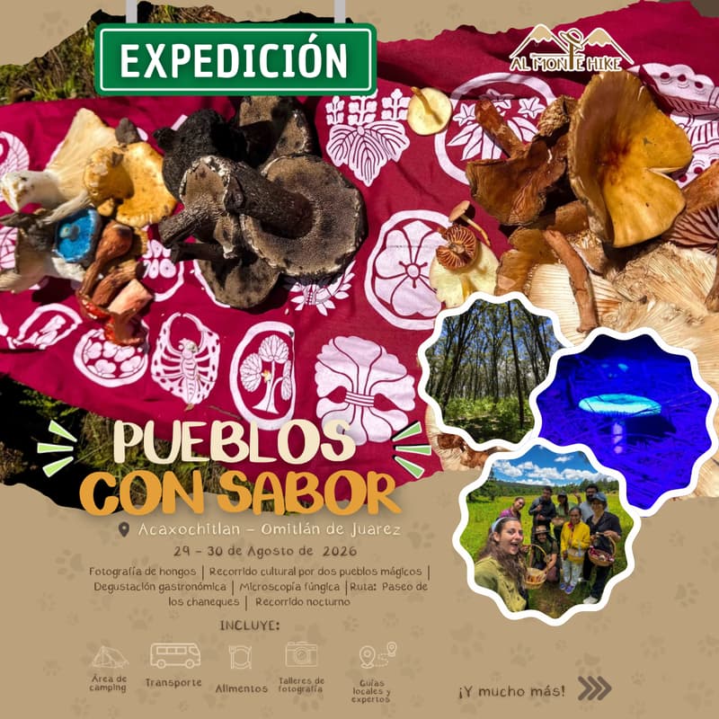 Cover Image for Hongosto en “Pueblos con sabor”(Acaxochitlán - Omitlán de Juarez, Hidalgo)
