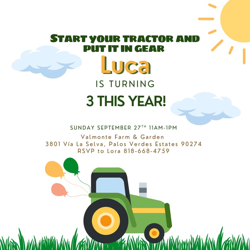 Cover Image for Luca's 3rd Birthday Party