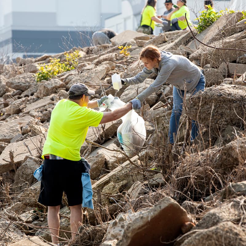 Cover Image for WAVE Foundation's 15th Annual River Sweep
