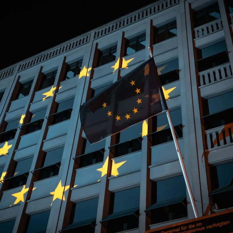 Cover Image for Miten hyödyntää yritysten suorat EU-avustukset?