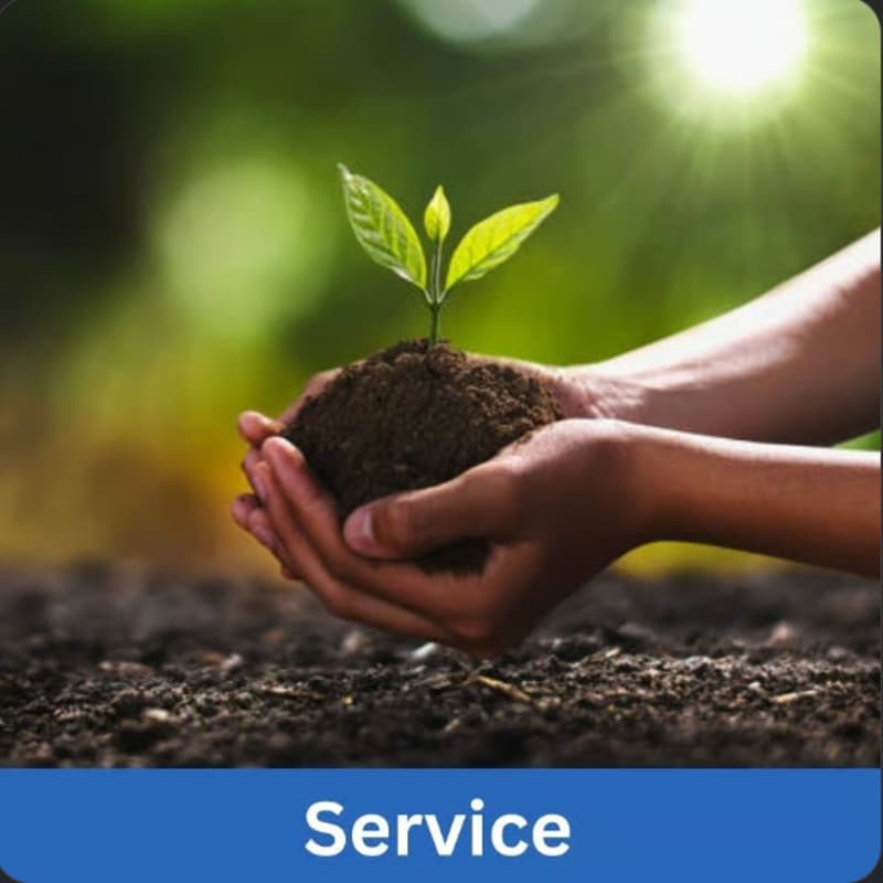Cover Image for Midlands Orphan Relief