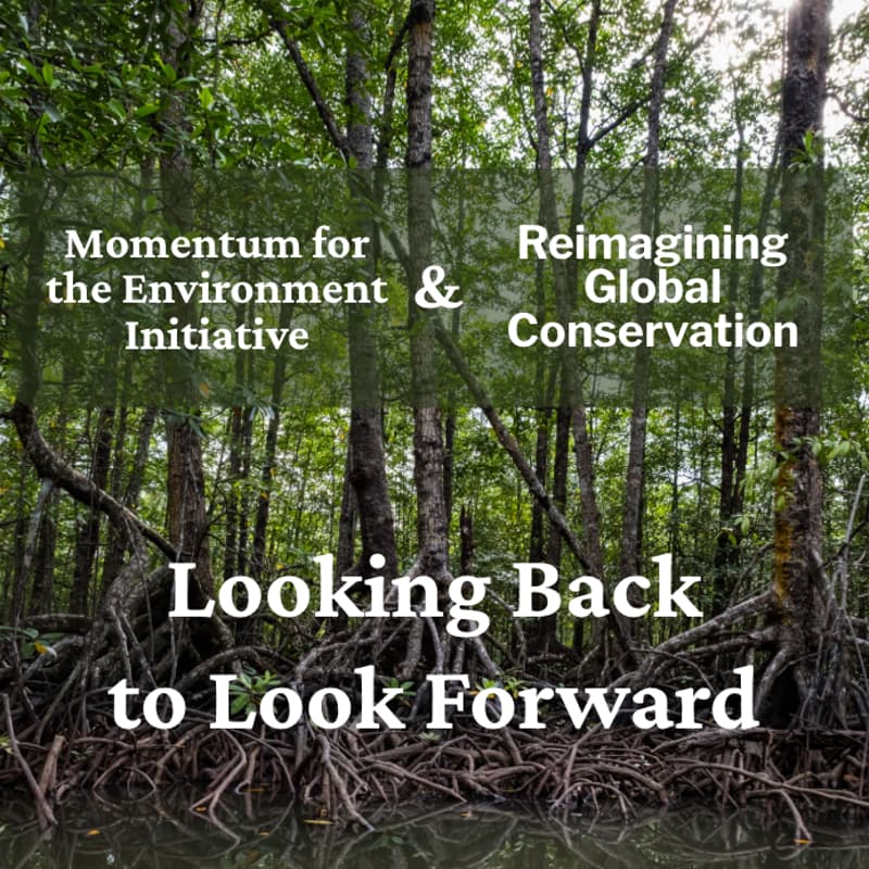 Cover Image for Looking Back to Look Forward: Funder Roundtable on the Impacts of USAID's Withdrawal on Conservation & Implications for a Reimagined Future