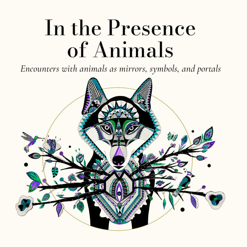 Cover Image for In the Presence of Animals | Art Exhibition + Open Studio