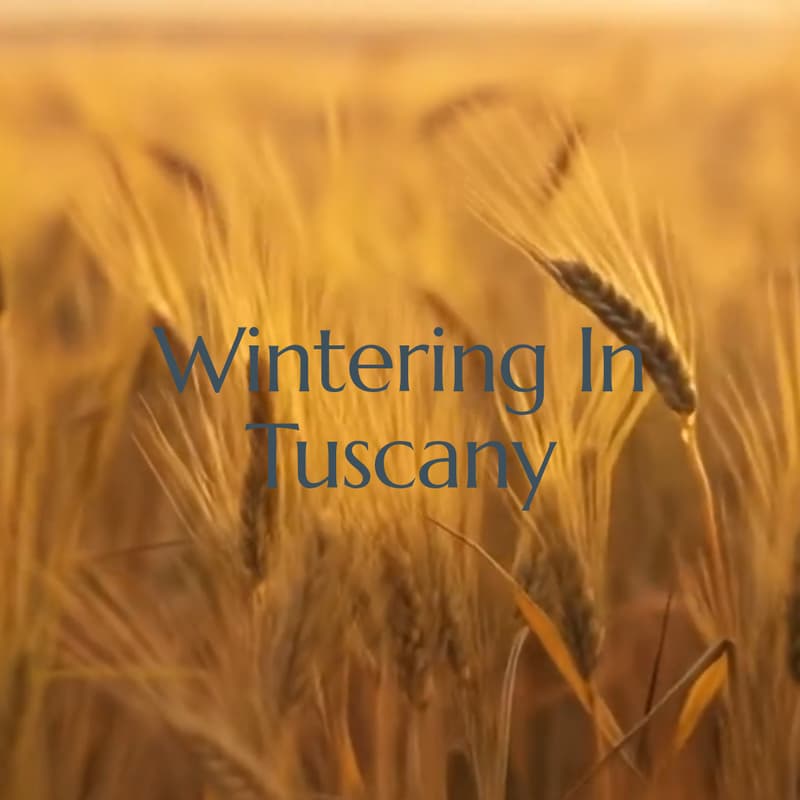 Cover Image for Wintering In Tuscany