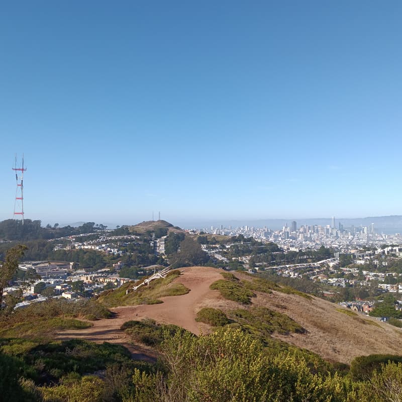 Cover Image for BioPharma Networking Hike: Mt Davidson