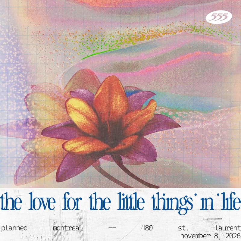 Cover Image for 555 night: The Love for The Little Things in Life
