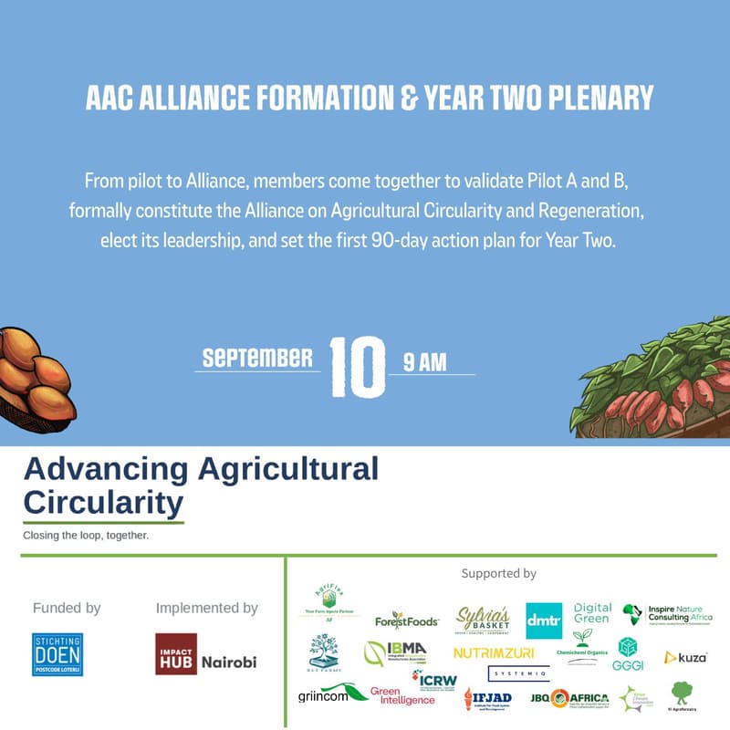 Cover Image for AAC Alliance Formation & Year Two Plenary