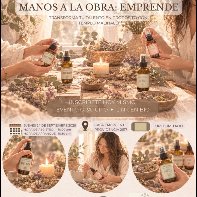 Cover Image for Manos a la obra Emprende: creación de Armonizadores