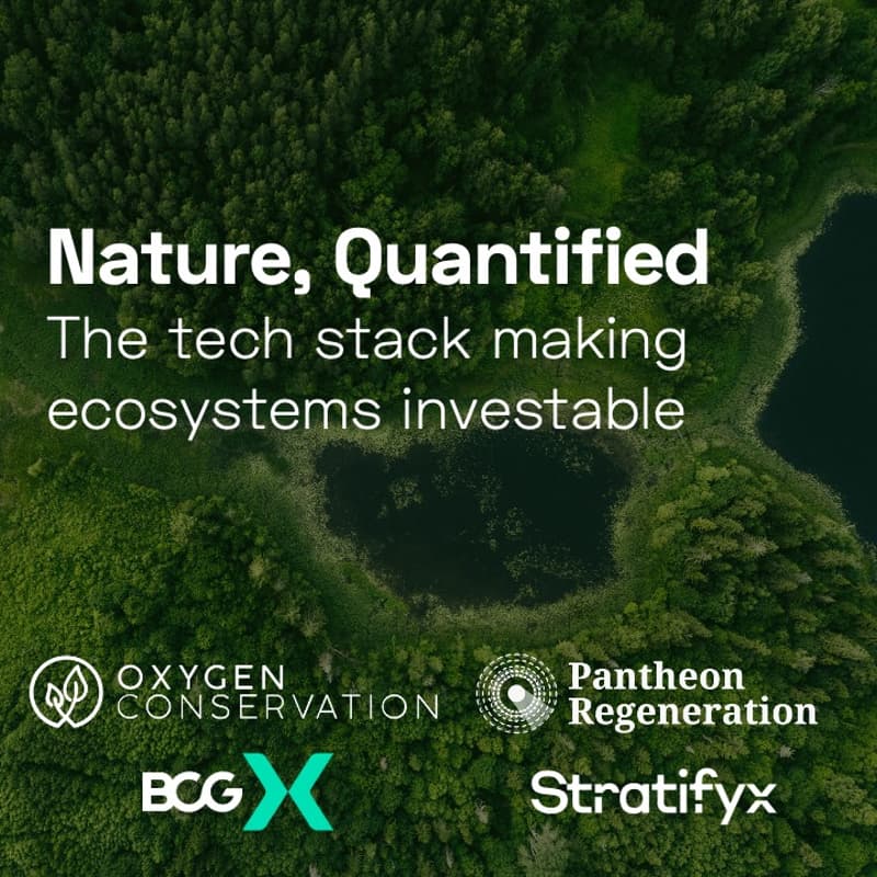 Cover Image for Nature, Quantified: The tech stack making ecosystems investable