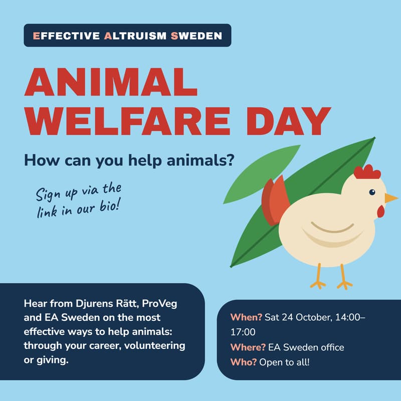 Cover Image for Animal welfare day : how can you help animals in the most effective way?