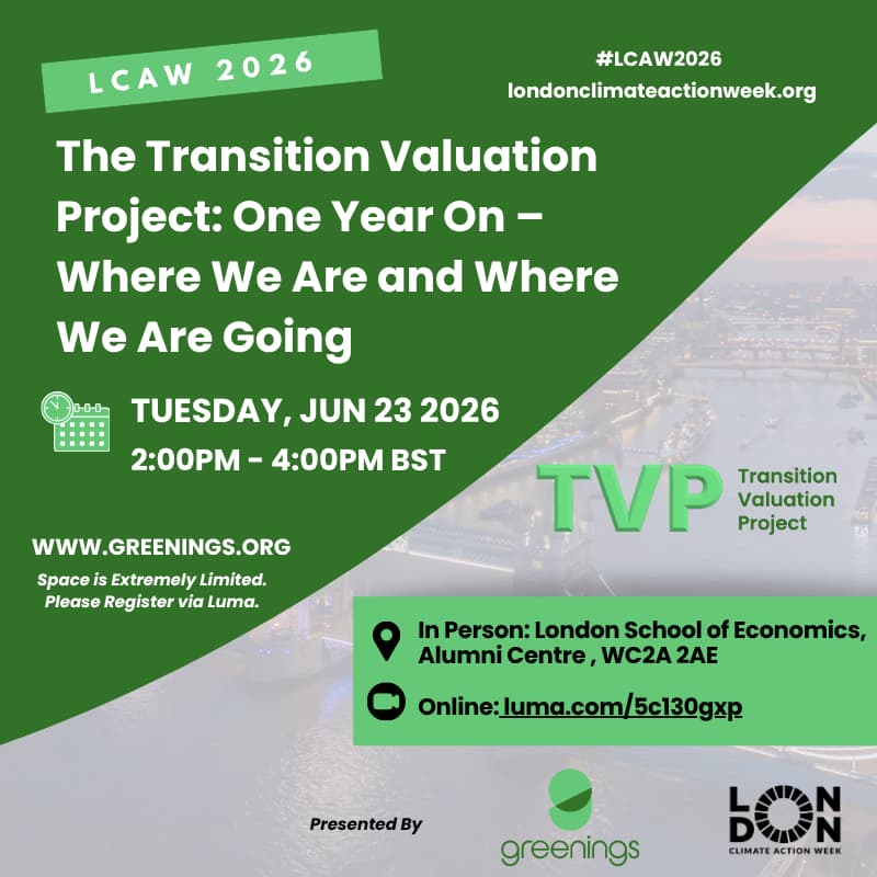 Cover Image for The Transition Valuation Project: One Year On – Where We Are and Where We Are Going
