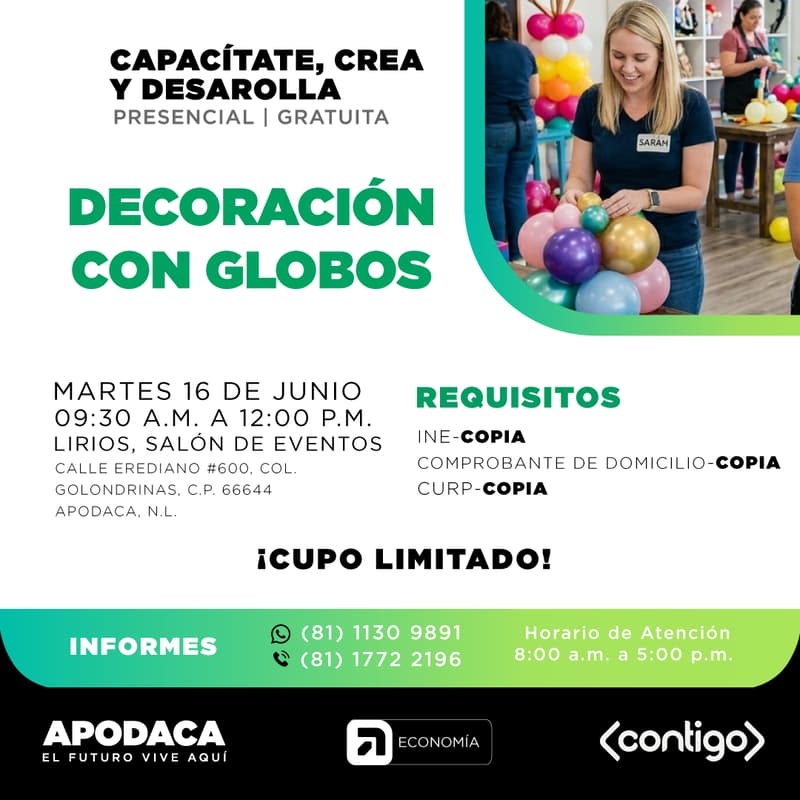 Cover Image for CURSO DE DECORACIÓN CON GLOBOS (PRESENCIAL)