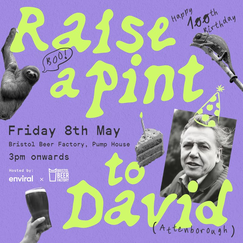 Cover Image for Raise A Pint To David