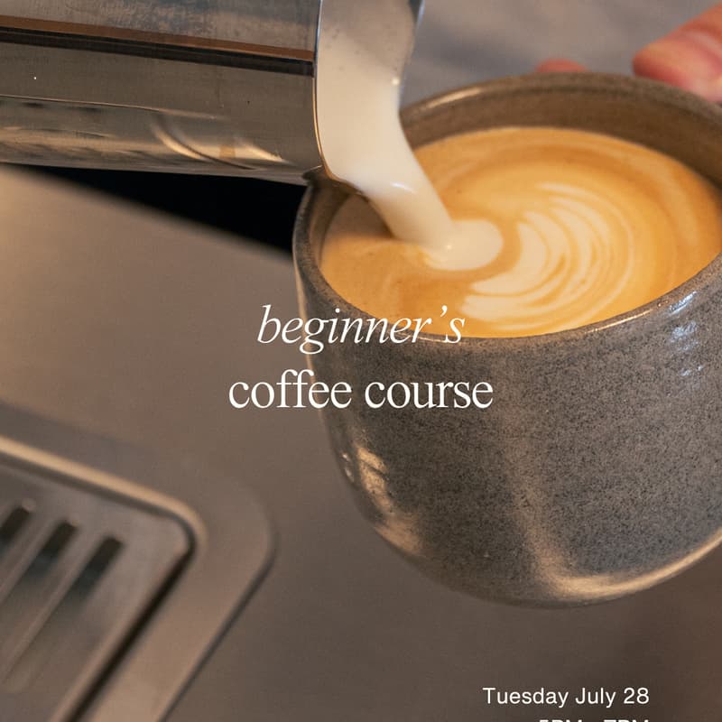 Cover Image for Two Story Coffee Course for Beginners