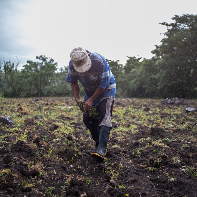 Cover Image for Adaptation Champions in Action: Building Climate Resilience on the Frontline of Nature Conservation