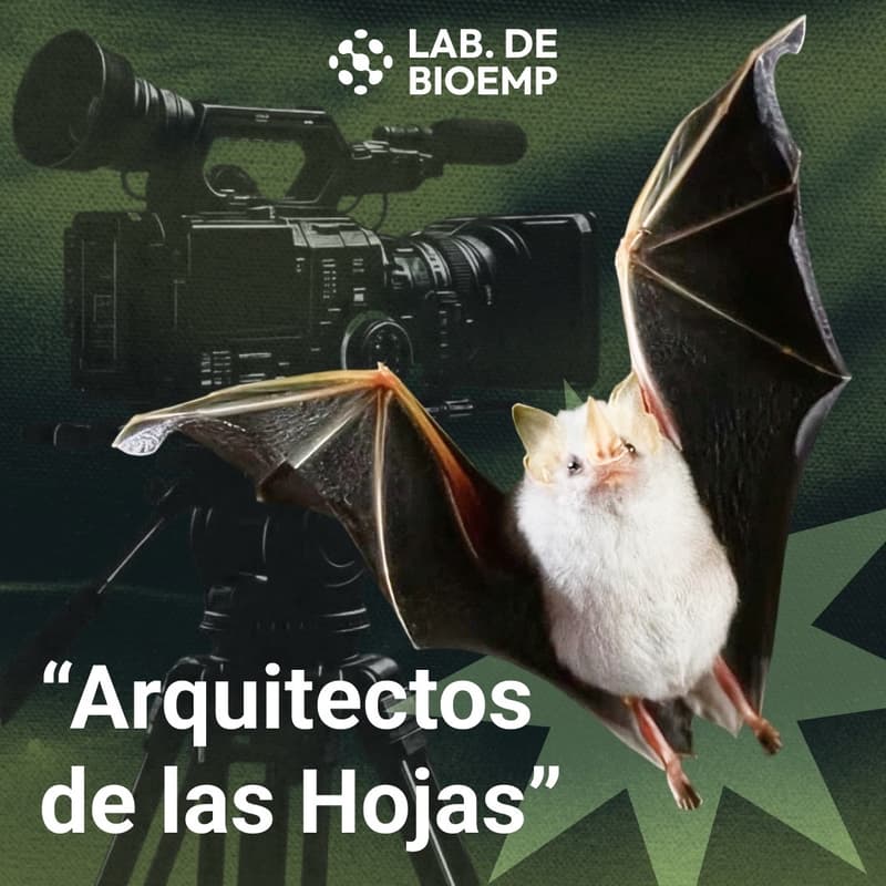 Cover Image for CINEFORO: BioEdition 2026 🦇🌿