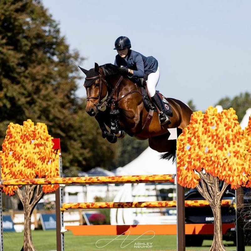 Cover Image for Longines Global Champions Tour London