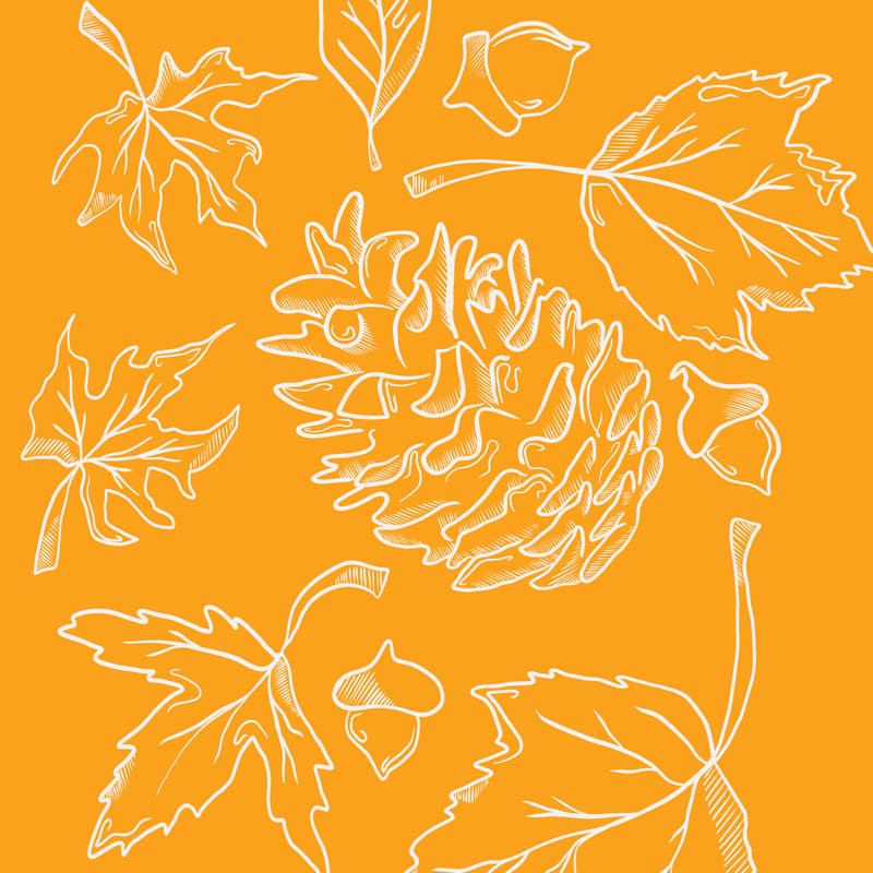 Cover Image for Herfstbrunch