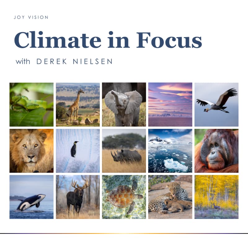 Cover Image for Climate in Focus: Conversation through the Lens of Creatives