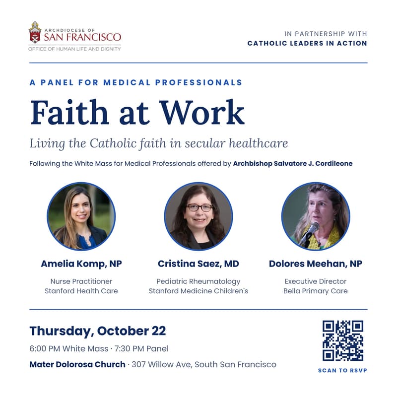 Cover Image for Faith at Work: Catholic Healthcare Professionals in Secular Institutions