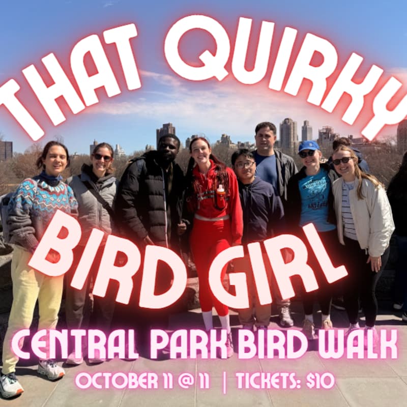 Cover Image for Discover the Birds in Central Park 🦆