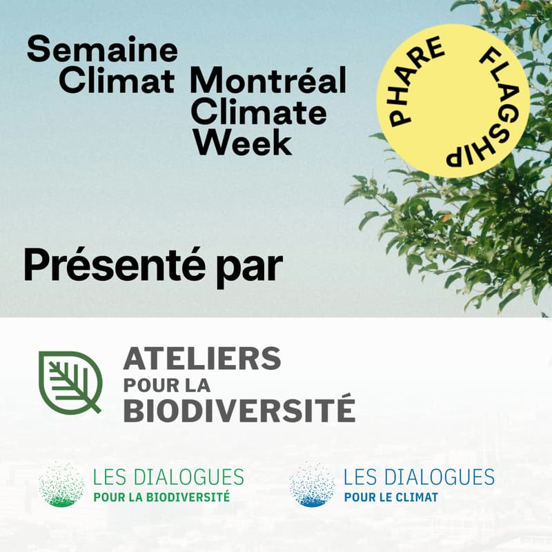 Cover Image for Un automne de COP : comprendre les enjeux, suivre les négociations et explorer les perspectives