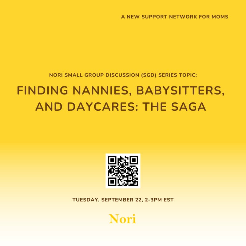 Cover Image for Finding Nannies, Babysitters, and Daycares: The Saga
