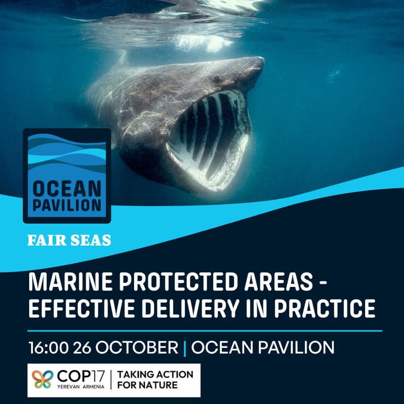 Cover Image for Marine Protected Areas - Effective Delivery in Practice