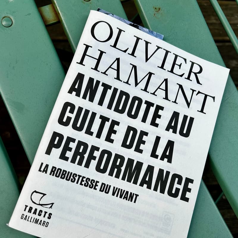 Cover Image for Robustesse : groupe d’étude Du Grand Cour Sator D’Olivier Hamant
