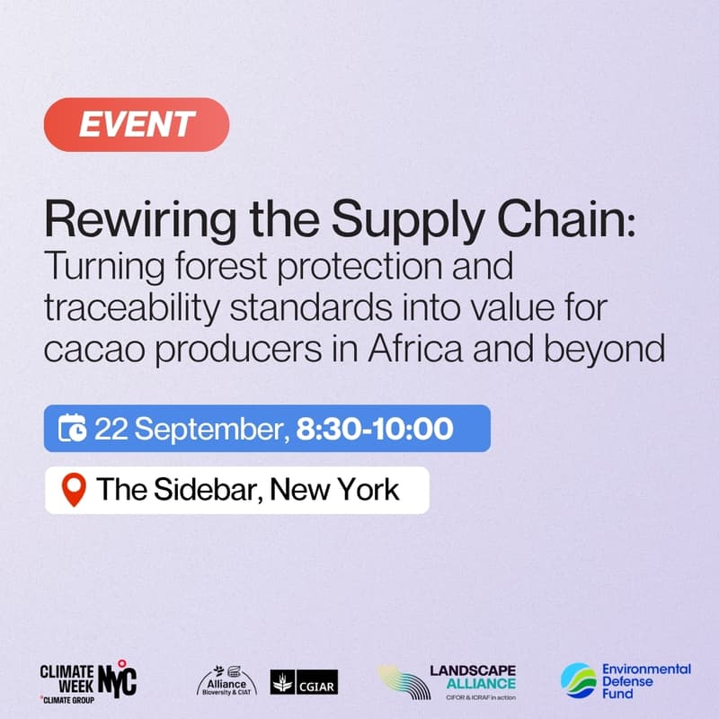 Cover Image for Rewiring the Supply Chain: Turning Forest Protection and Traceability into Value for Farmers