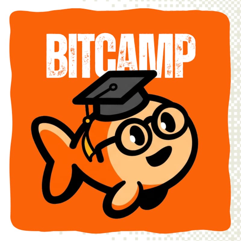 Cover Image for BITCAMP- AIMS-DTU X TINYFISH