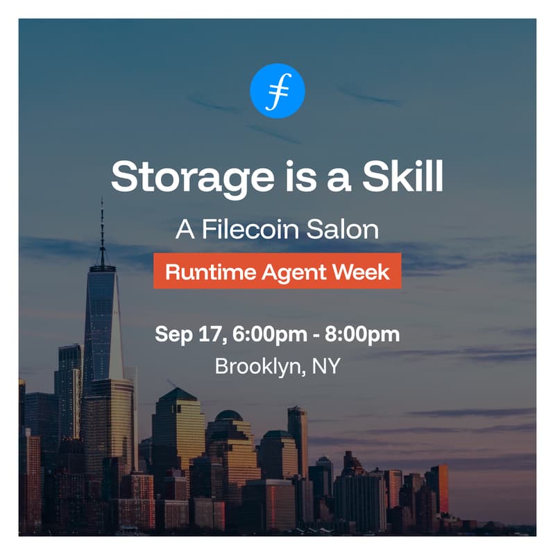 Cover Image for Storage is a Skill Salon
