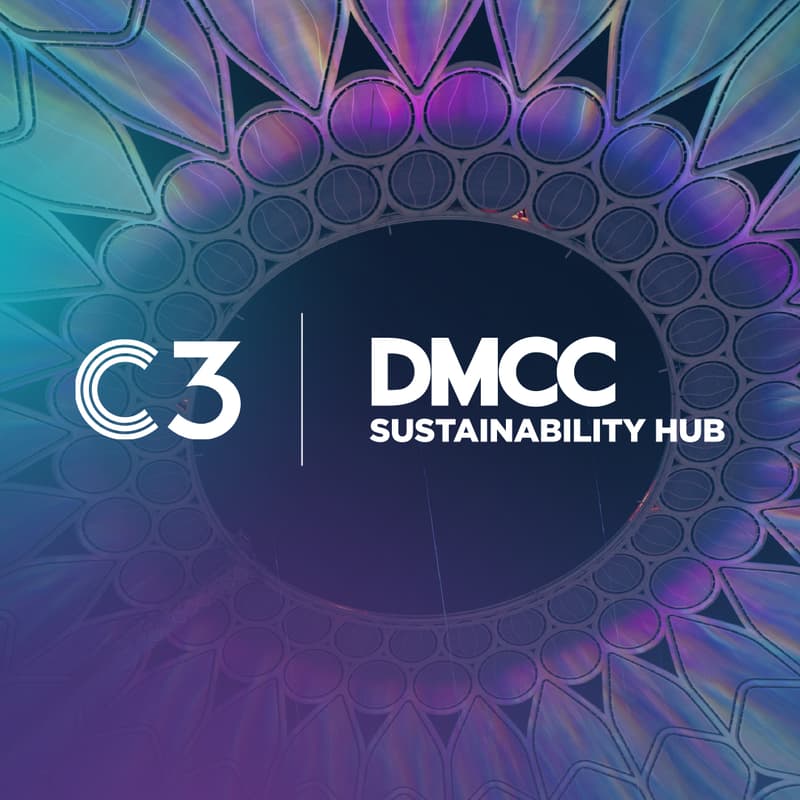 Cover Image for A Morning With Sustainability Hub: An immersive day of discovery