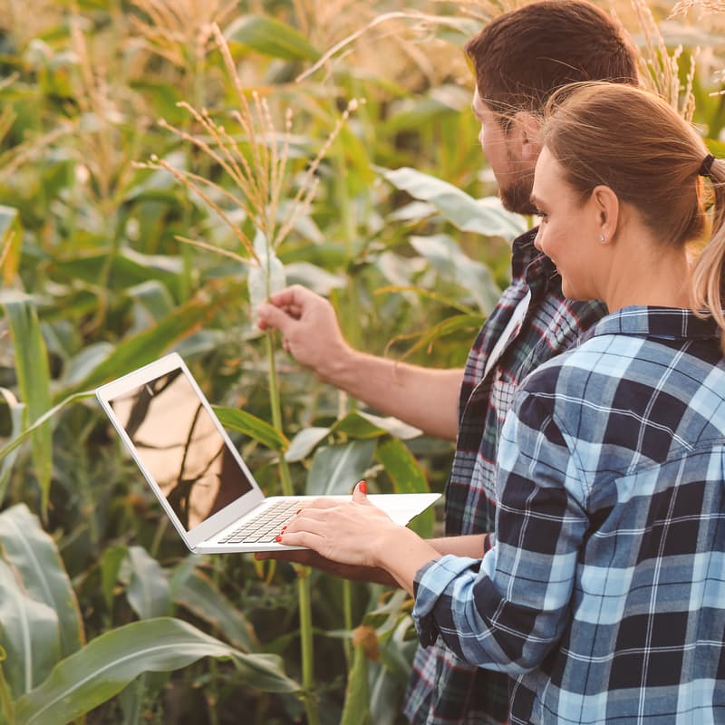 Cover Image for Sustainable Business Models and Alternative Financing in Agriculture