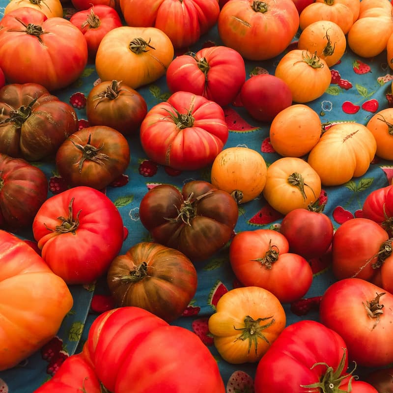 Cover Image for A Dash Of: Umami Hour — Salt, Tomatoes & the Fifth Flavor