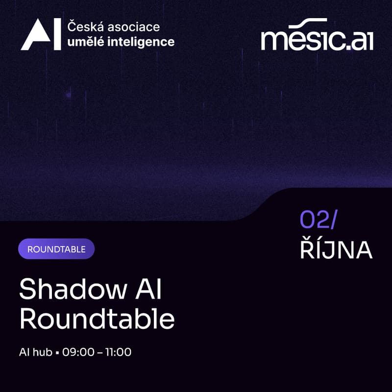 Cover Image for Shadow AI Roundtable