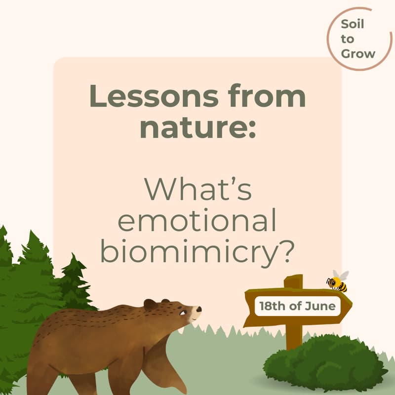 Cover Image for Lessons from nature: What's emotional biomimicry? June Edition