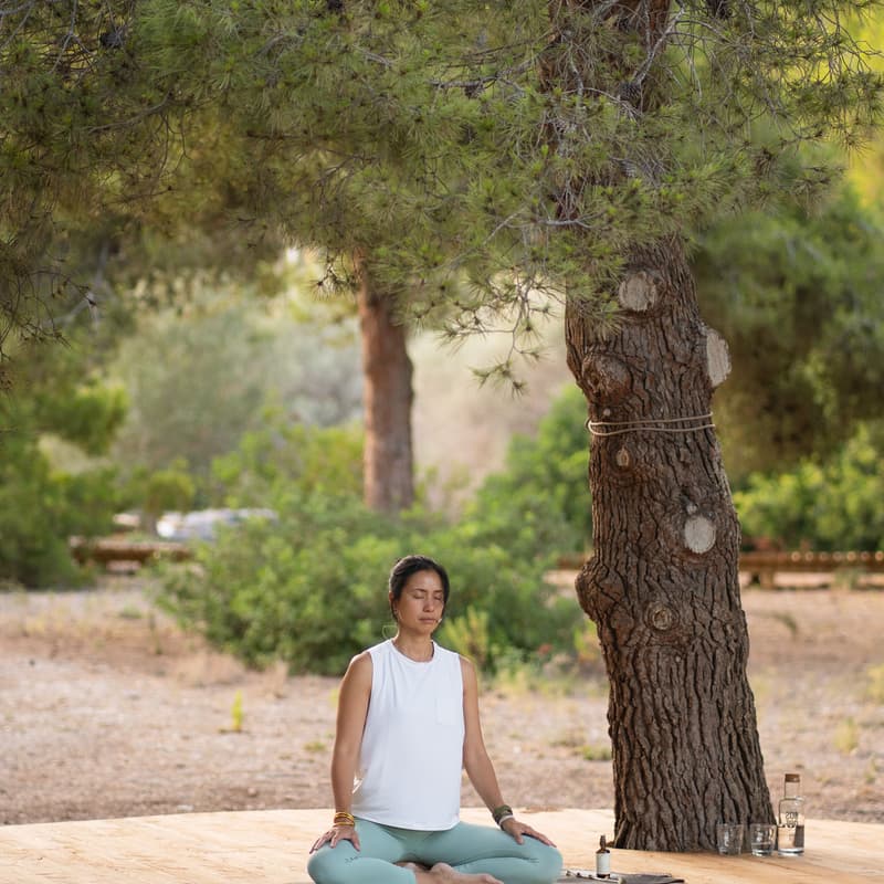 Cover Image for Yoga + Pranayama Dinámico con Xuan Lan