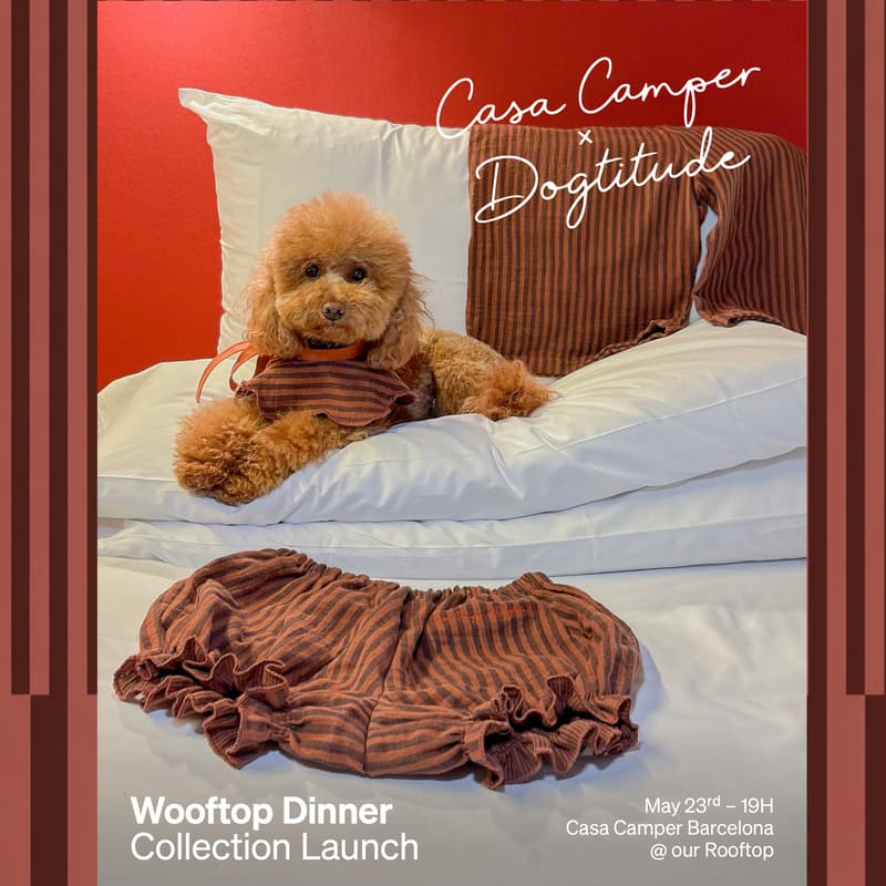 Cover Image for WOOFTOP DINNER — Casa Camper × Dogtitude
