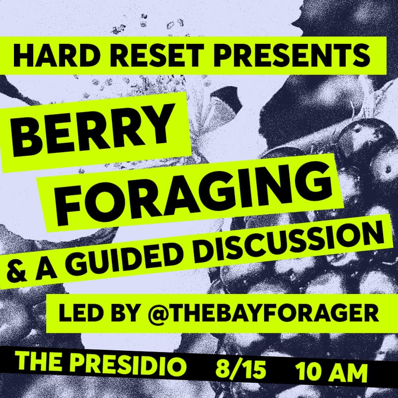Cover Image for HARD RESET PRESENTS: Berry foraging + a guided discussion in the Presidio with @TheBayForager!
